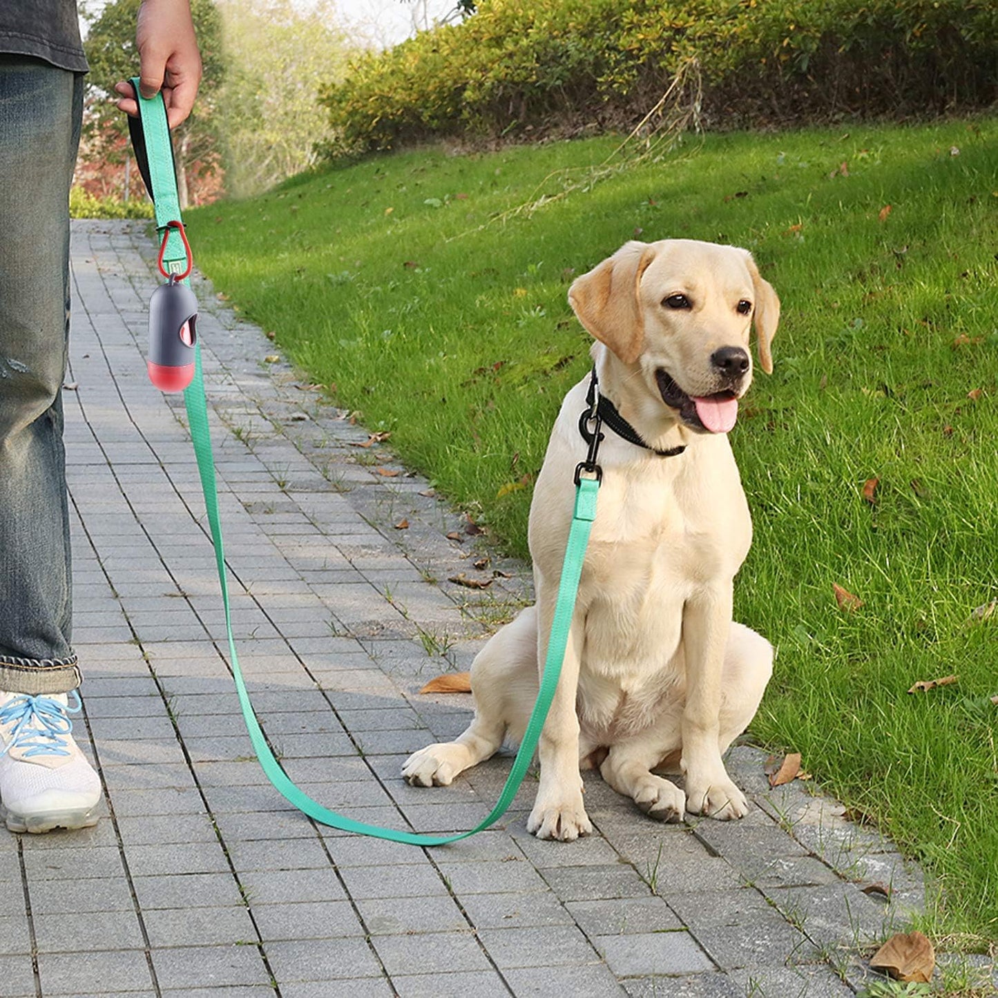 Dog Leash Dailyx Pet Leash with Soft Padded Handle for Training & Walking, Heavy Duty & Double Layer Nylon for Pet Puppy Collar, 5Ft X 1In, Green