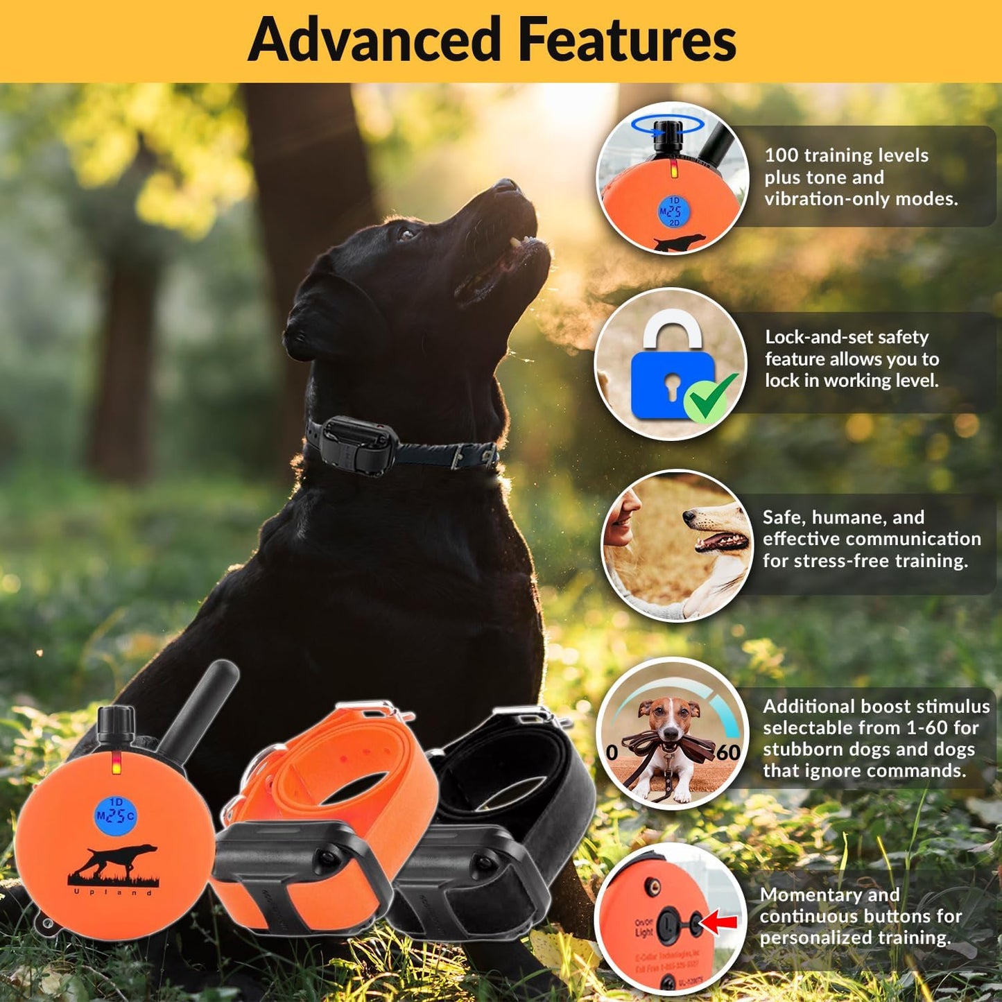 E-Collar the Upland Dog Training Collar W/Remote - 100 Levels of Safe Stimulation, Night Light, Waterproof, Rechargeable, Includes Premium Finger Clicker for 1 Mile 2 Med/Large Dogs, Orange