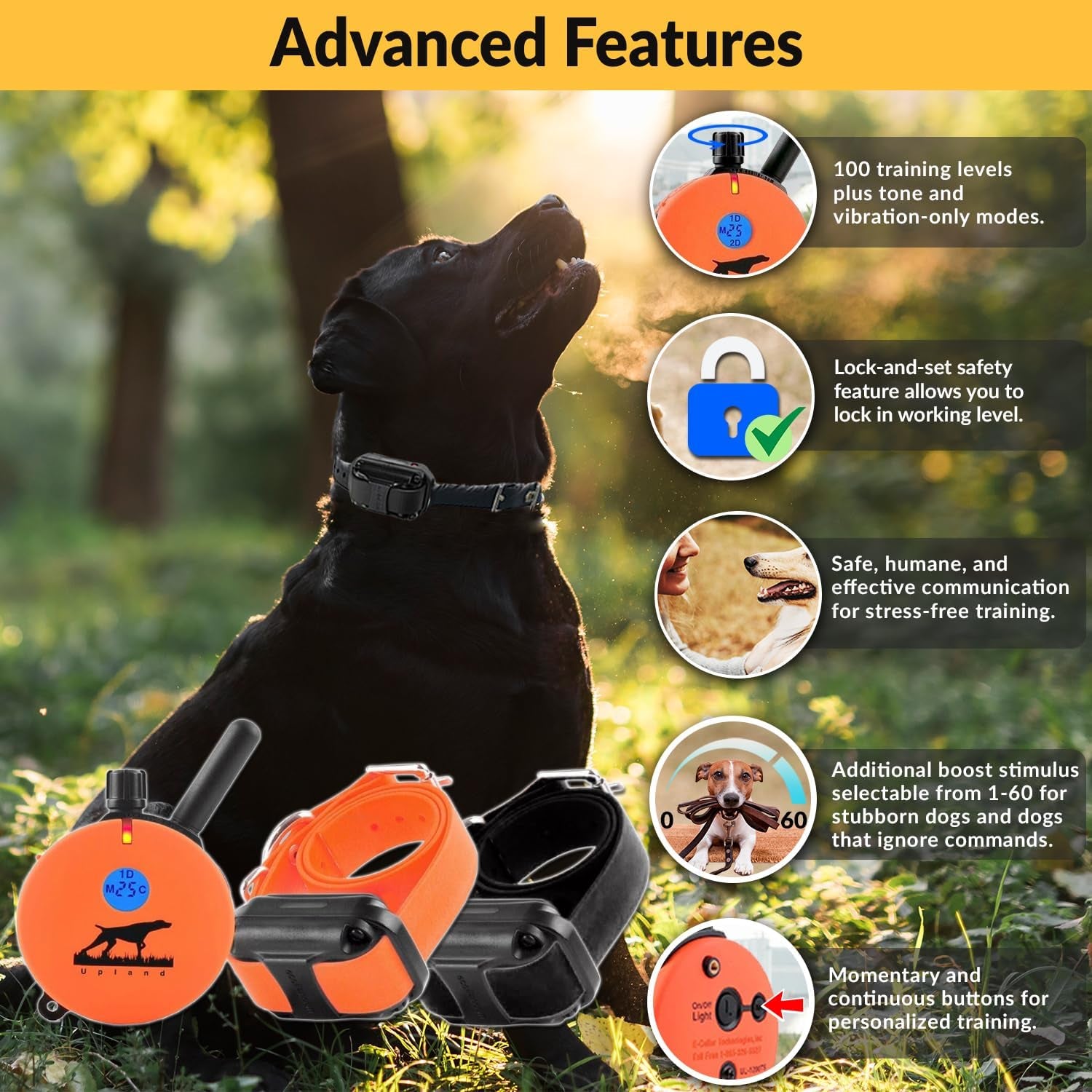 E-Collar the Upland Dog Training Collar W/Remote - 100 Levels of Safe Stimulation, Night Light, Waterproof, Rechargeable, Includes Premium Finger Clicker for 1 Mile 2 Med/Large Dogs, Orange