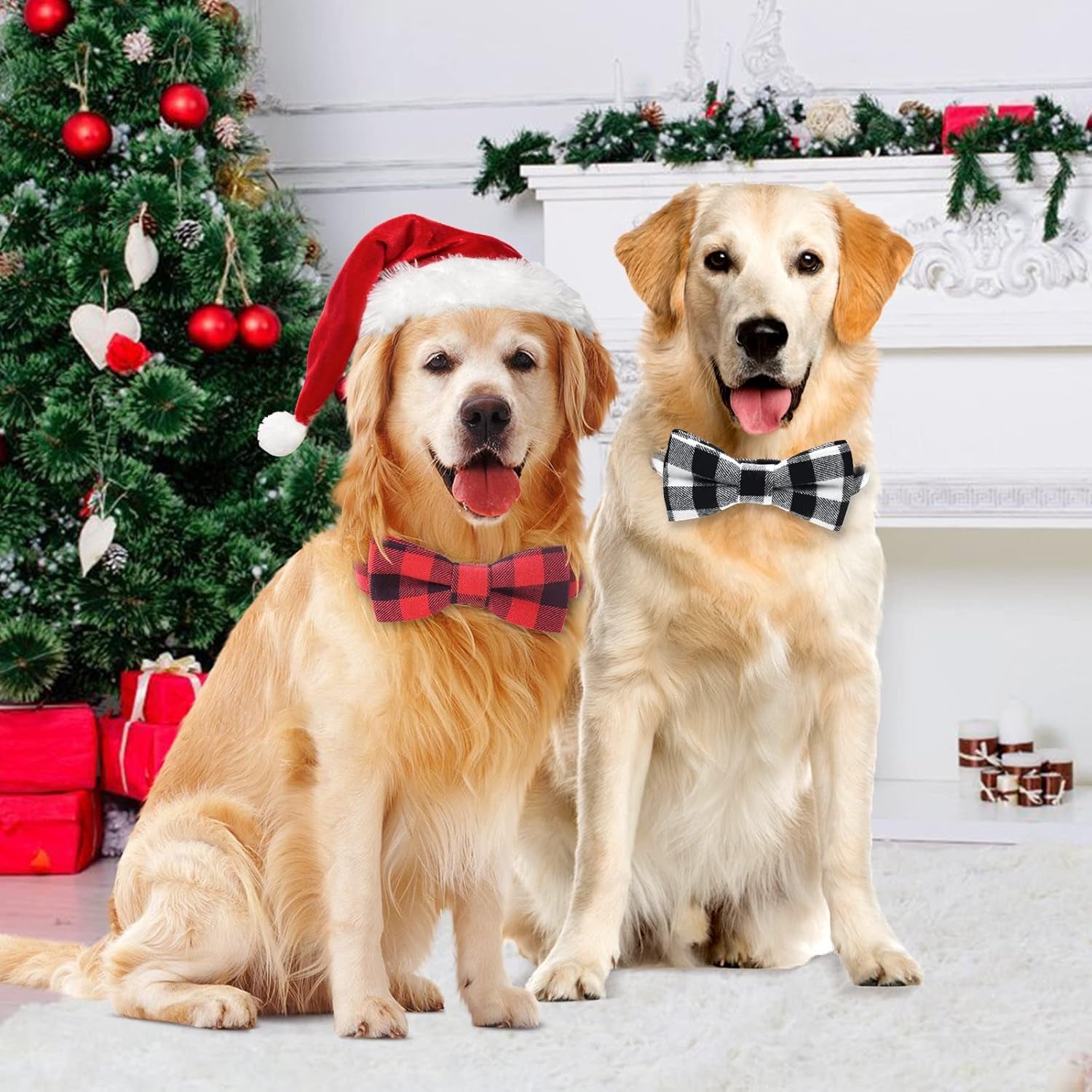 2 Pack Christmas Dog Collar with Bow Tie, Classic Plaid Pattern Dog Collar with Light Adjustable Buckle Red Dog Collar for Small Medium Large Dogs Cats Pets (Red + Black, Large)