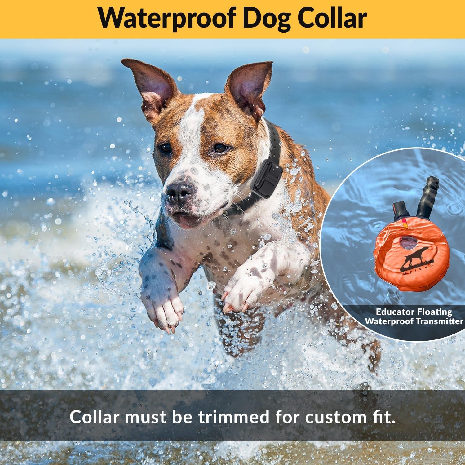 E-Collar the Upland Dog Training Collar W/Remote - 100 Levels of Safe Stimulation, Night Light, Waterproof, Rechargeable, Includes Premium Finger Clicker for 1 Mile 2 Med/Large Dogs, Orange