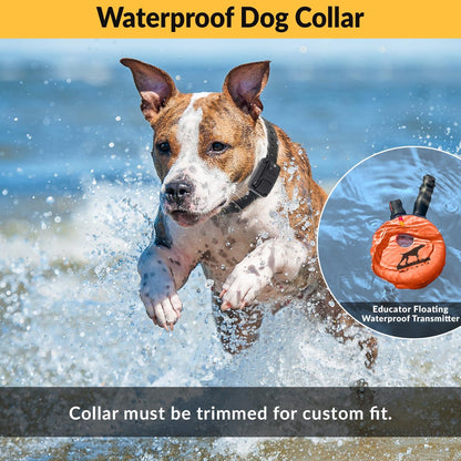E-Collar the Upland Dog Training Collar W/Remote - 100 Levels of Safe Stimulation, Night Light, Waterproof, Rechargeable, Includes Premium Finger Clicker for 1 Mile 2 Med/Large Dogs, Orange
