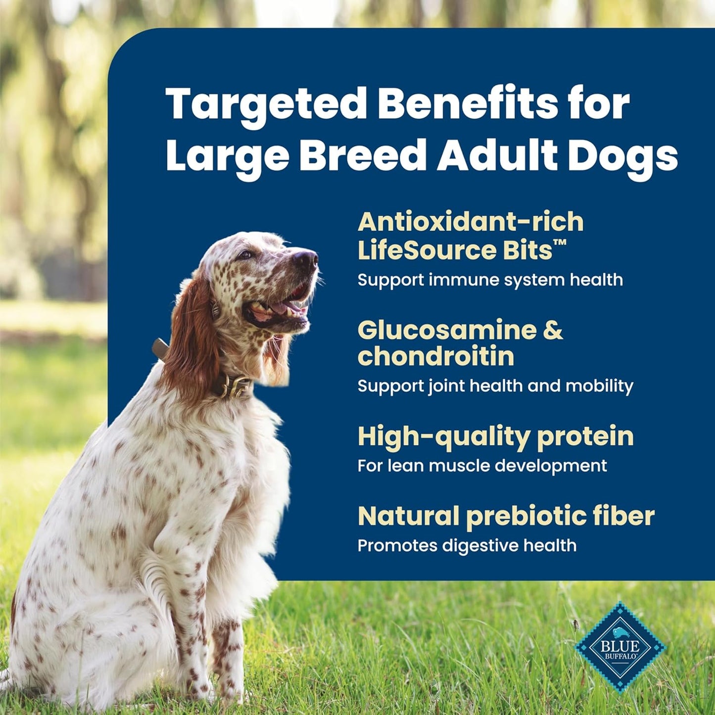 Life Protection Formula Chicken & Brown Rice Large Breed Adult Dry Dog Food, Supports Immunity with Antioxidant-Rich Lifesource Bits, Promotes Healthy Muscles, Skin & Coat Health, 30 Lbs.