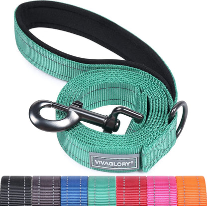 Dog Leash Dailyx Pet Leash with Soft Padded Handle for Training & Walking, Heavy Duty & Double Layer Nylon for Pet Puppy Collar, 5Ft X 1In, Green