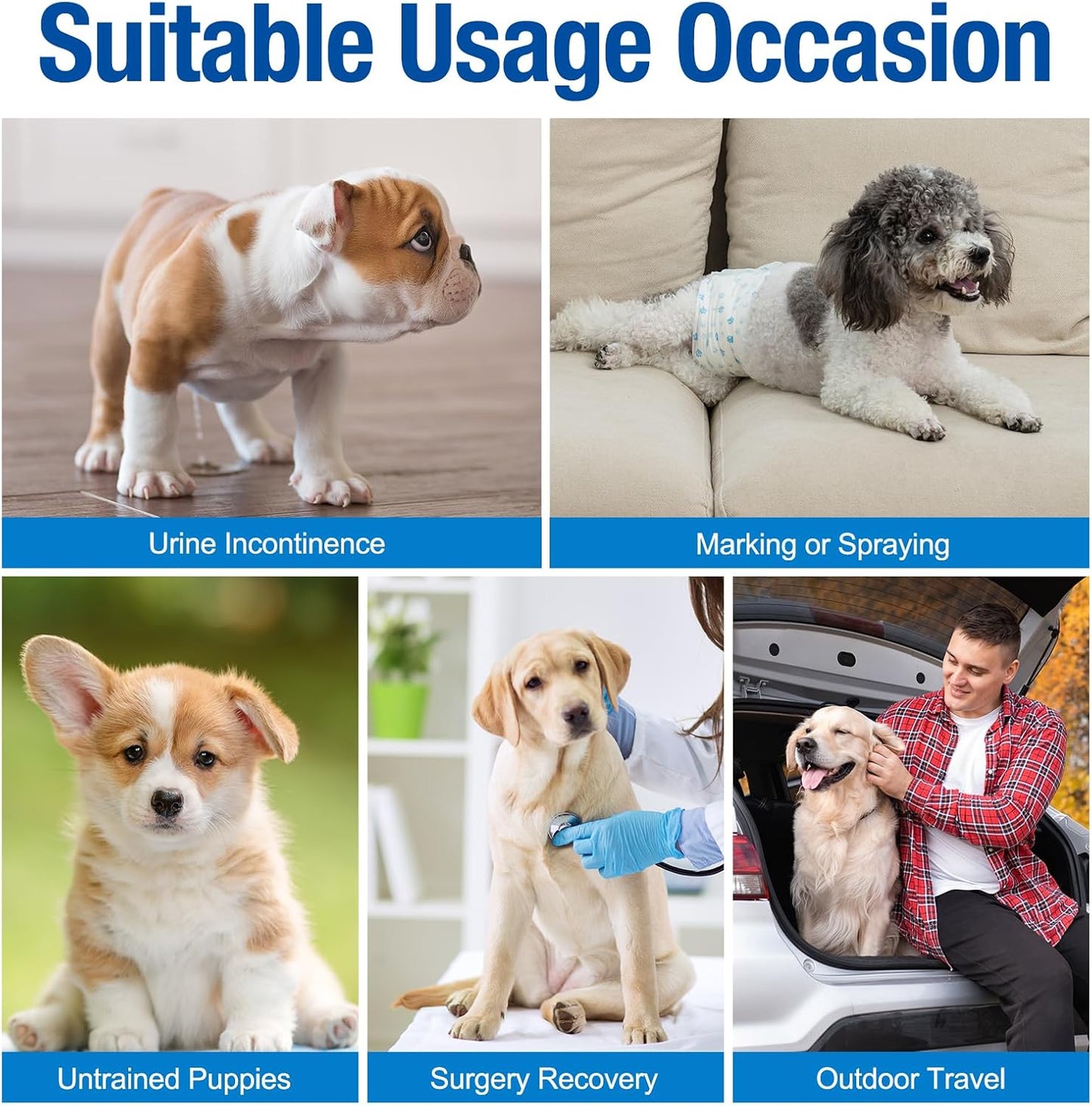 Disposable Male Dog Wraps - Dog Diapers for Male Dogs, Puppy Diapers 12Pcs Small