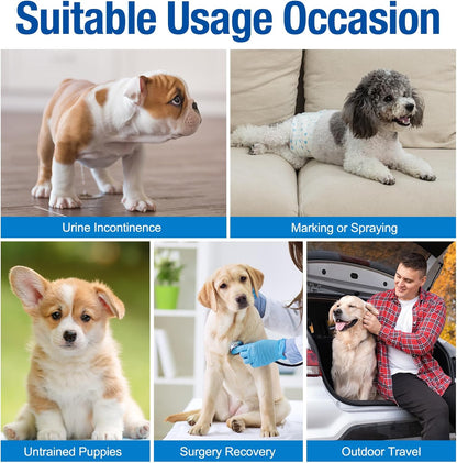 Disposable Male Dog Wraps - Dog Diapers for Male Dogs, Puppy Diapers 12Pcs Small