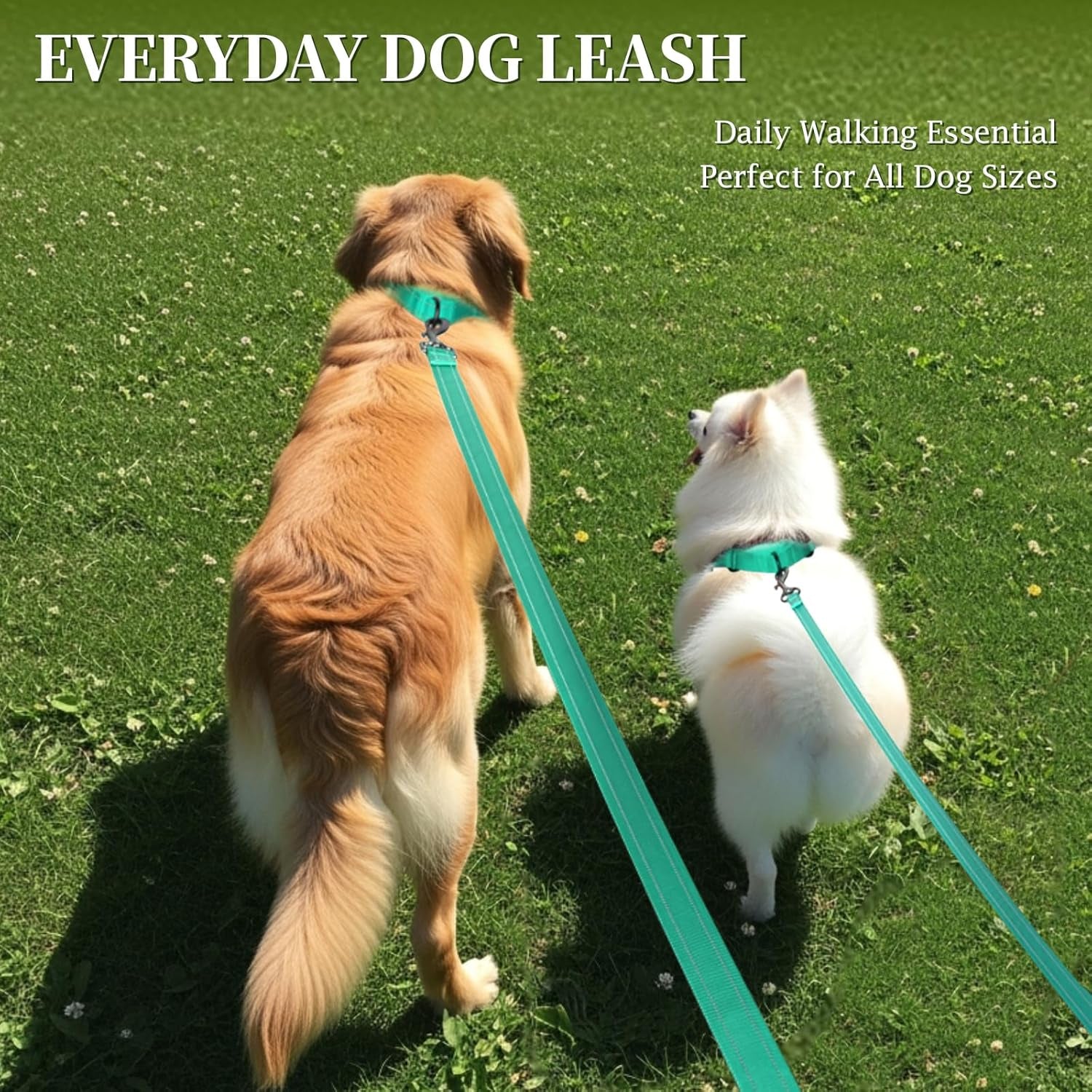 Dog Leash Dailyx Pet Leash with Soft Padded Handle for Training & Walking, Heavy Duty & Double Layer Nylon for Pet Puppy Collar, 5Ft X 1In, Green