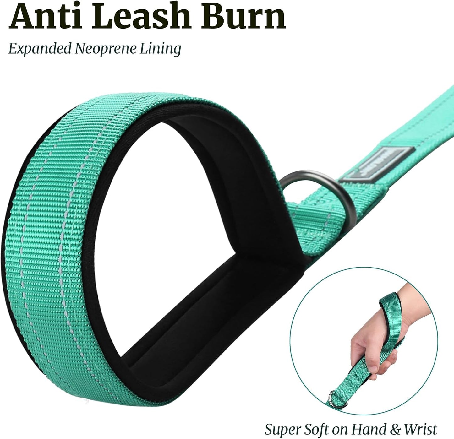 Dog Leash Dailyx Pet Leash with Soft Padded Handle for Training & Walking, Heavy Duty & Double Layer Nylon for Pet Puppy Collar, 5Ft X 1In, Green