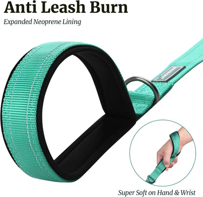 Dog Leash Dailyx Pet Leash with Soft Padded Handle for Training & Walking, Heavy Duty & Double Layer Nylon for Pet Puppy Collar, 5Ft X 1In, Green