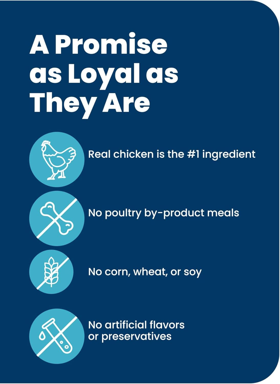 Life Protection Formula Chicken & Brown Rice Large Breed Adult Dry Dog Food, Supports Immunity with Antioxidant-Rich Lifesource Bits, Promotes Healthy Muscles, Skin & Coat Health, 30 Lbs.