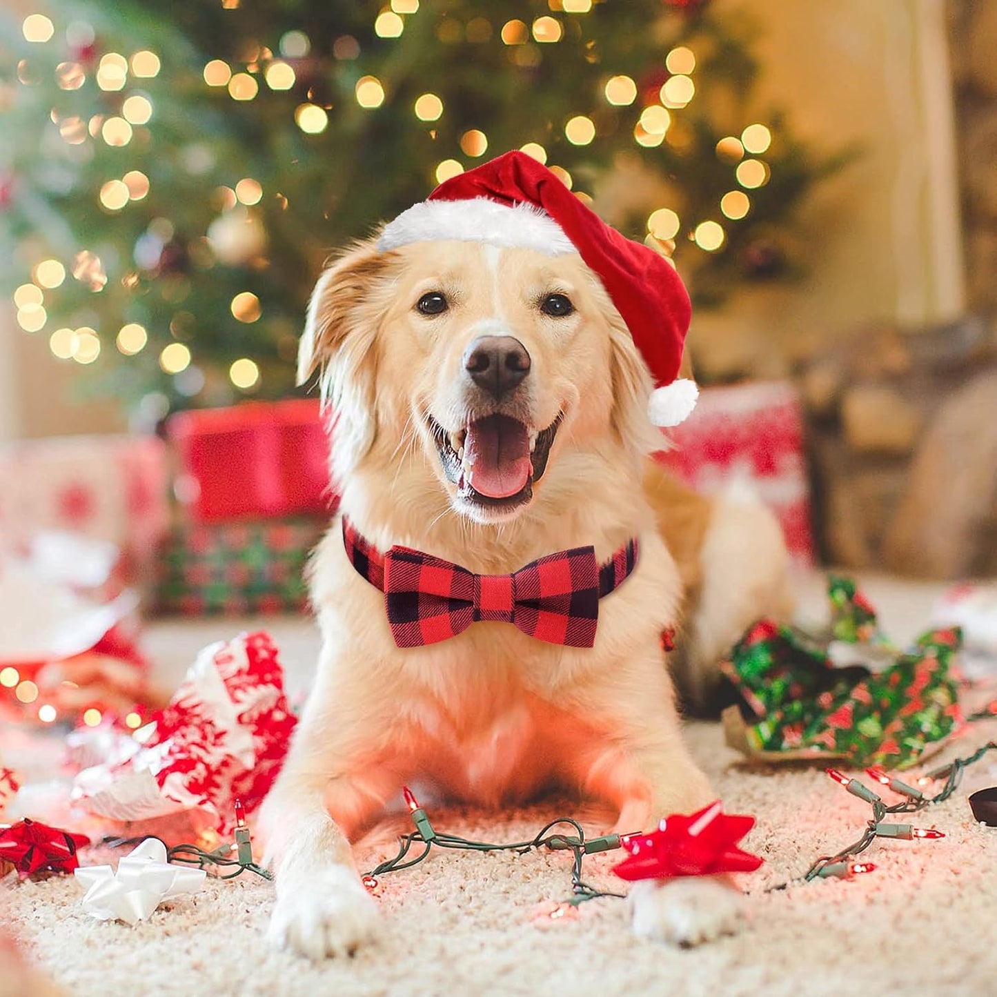 2 Pack Christmas Dog Collar with Bow Tie, Classic Plaid Pattern Dog Collar with Light Adjustable Buckle Red Dog Collar for Small Medium Large Dogs Cats Pets (Red + Black, Large)